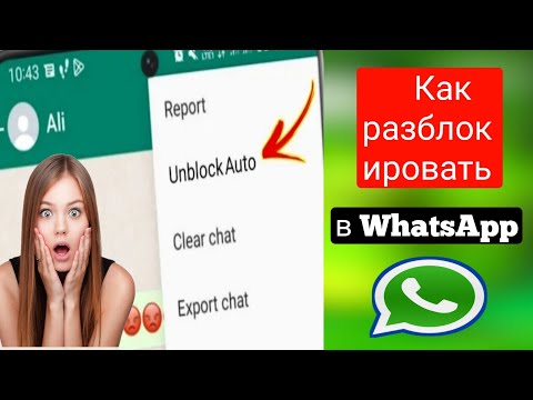 Как разблокировать WhatsApp, если вас заблокировали (2023 г.) Новое обновление