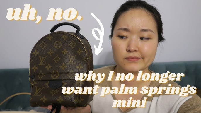 Louis Vuitton Palm Springs Mini Alternative, what fits, mod shots