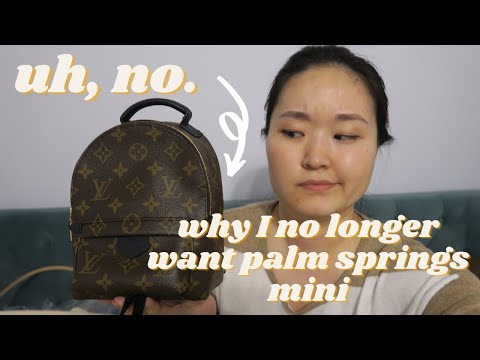 The Louis Vuitton Palm Springs Backpack Mini – A Rose In The City