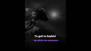 En Güzel Kürtçe Kısa Şarkı Whatsapp Durum Videoları Aşk Ve Duygusal 23