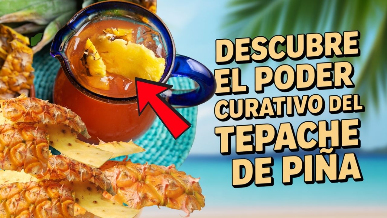 TEPACHE de PIÑA Beneficios, PROPIEDADES del Tepache La Bebida Probiotica Fermentada Sin Igual