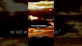 Salih Peygamber (a.s.) ve Semud Kavmi | Kuran Ayet Meali | (Hud, 11/61) Quran (11:61) #kuran