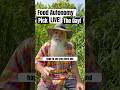 Live Stream NEXT WEEK: Help Choose the Day! Growing All Your Food: Challenges, Advice, What to Avoid