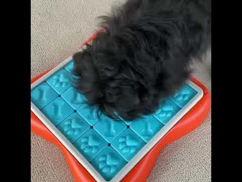 Challenge Slider Interactive Treat Puzzle Game Dog Toy