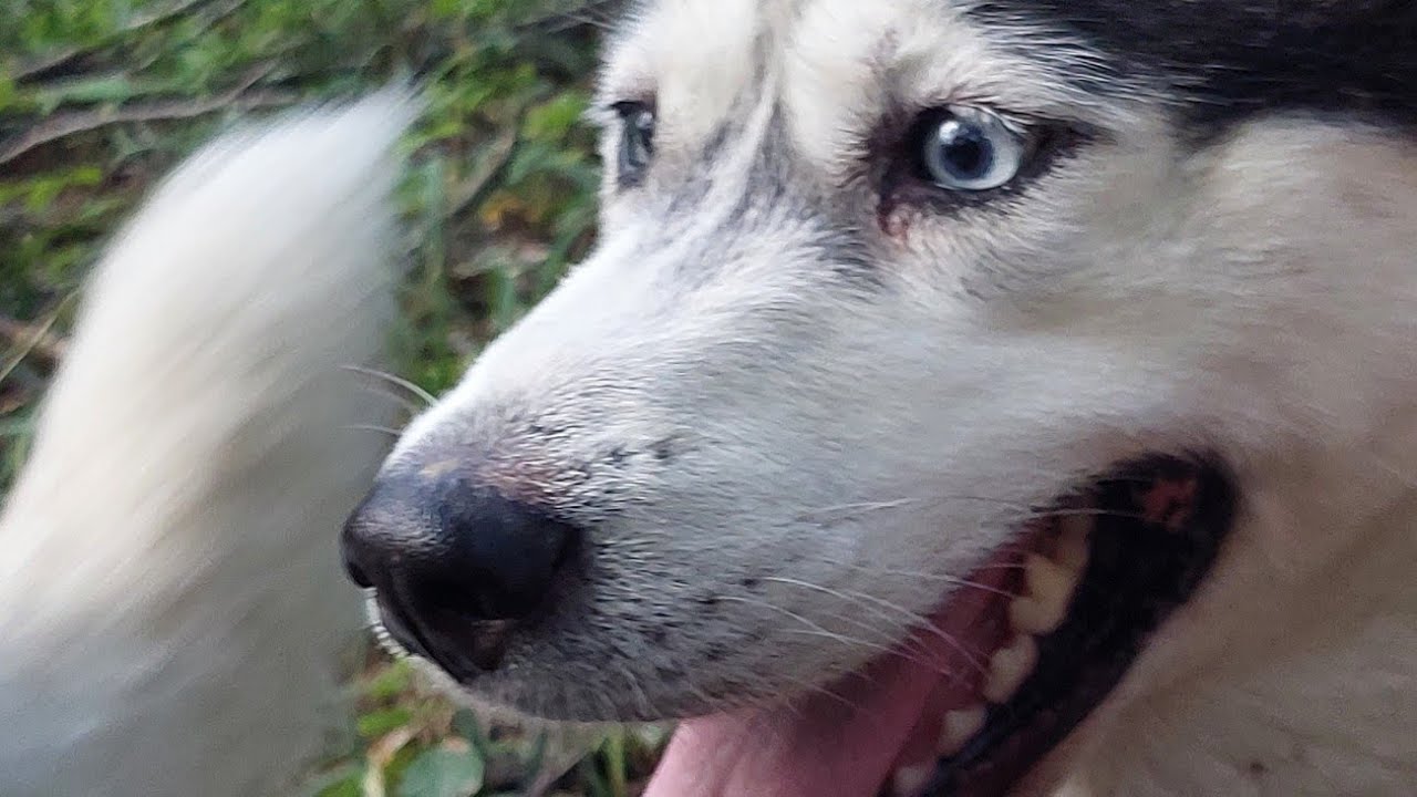 Konačno smo prodisali nakon ljeta!