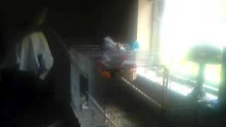 MOV000007.avi