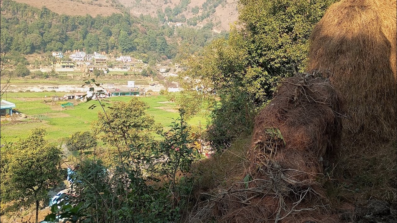 गाँव का मौसम😃😃😃