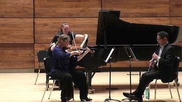 VII. Allegro vivace, ma non troppo