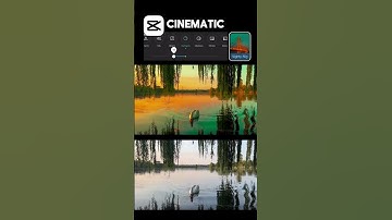 The power of color grading | capcut edit | change your mood video |