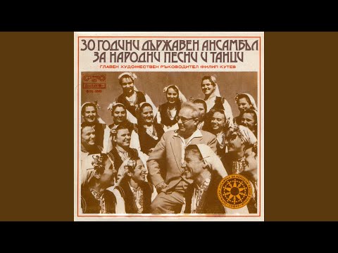 Полегнала е Тодора