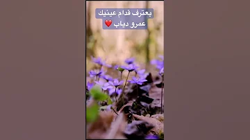 بعترف قدام عينيك عمرو دياب موسيقى 