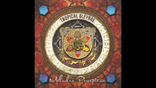 Tropical Bleyage   Melodic Perception Full Album 2013