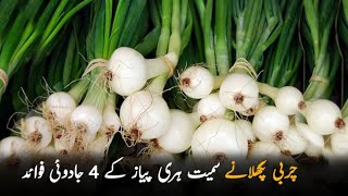 Hari pyaz ke fayde | Benefits of Green Onions |جانیں اس سبزی کے 4 جادوئی فوائد | Hasan Info TV