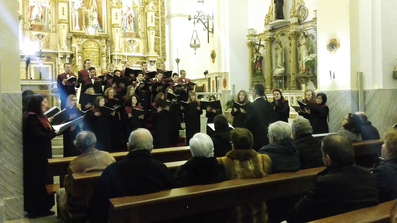 Albert Alcaraz - La hoja del olivo (live)