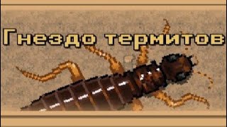 Лёгкое прохождение Гнезда Термитов (Pocket Ants)