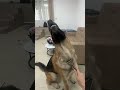 Приятные и полезные процедуры #jordan