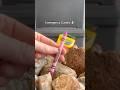Crayons are basically wax and paper…making them good mini candles in a pinch. #survival #prepper