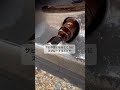 サビピカ　自動車のホイールでさび落とし