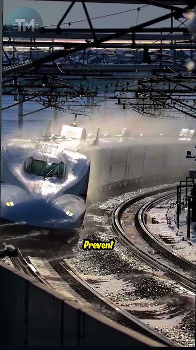 Why Do They Pour Water on Trains in Japan? ( IG around_my_heart_ )