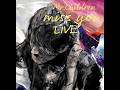 アート=神の見えざる手 ( live at 大阪城ホール 2024.11.3 )