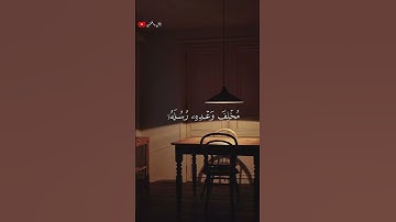 تلاوة خاشعة ومؤثرة القارى عبد الرحمن مسعد 🎧❤️‍🩹 #أرح_سمعك_وقلبك #اكسبلور #طمئن_قلبك #عبدالرحمن_مسعد