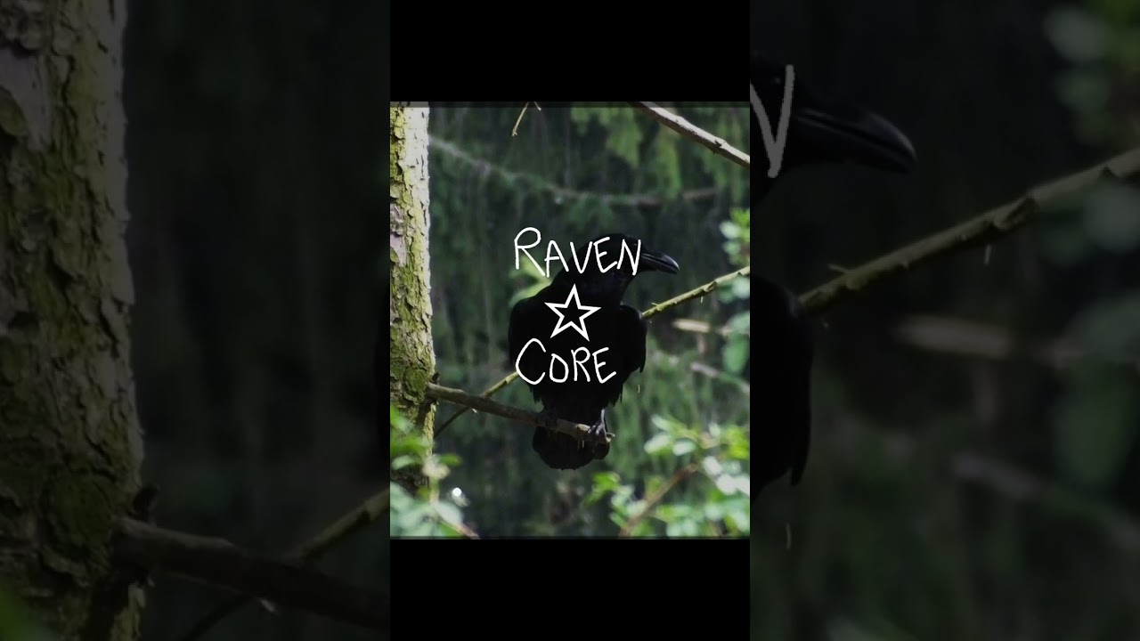 bro i didnt know this was a thing-  