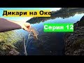 Дикари на Оке / 12 Серия / Окунь с руку на Оке