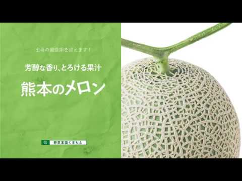 【テレビＣＭ】熊本県産メロン【にこやか食堂】