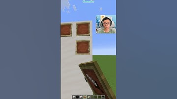 Minecraft Map Illusion (Sigma Boy)