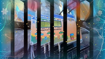 safe load indicator for mobile crane