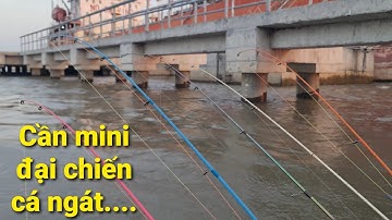 Đụng bầy cá ngát, vừa chọi mồi nó ăn liền luôn | Săn bắt SÓC TRĂNG |