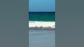 Crushing waves #satisfying #viral #trending #youtubeshorts #shortsvideo #asmr #beach