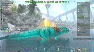 Ark Small tribe pc | Wipe Water Entrance  Gen 2 + Meatrun Gong of Time