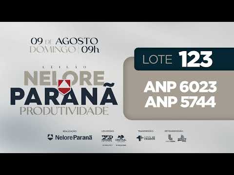 LOTE   123 ANP 6023 5744 COM MÃE