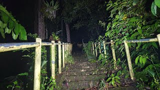 Download Lagu Live ❗BUKIT TANGGA SERIBU / BUKIT SELIUNG || NAIK BUKIT LAGI TENGAH MALAM MP3