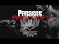 Pegasus warrior camp n4