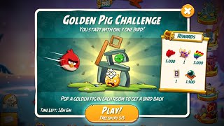 Angry Birds 2 Golden Pig Challenge 6 Rooms (Red)