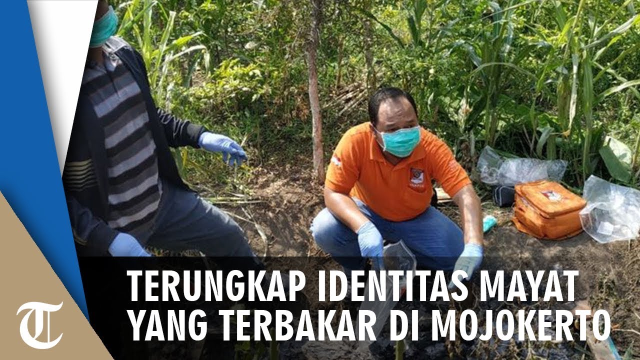 Terungkap Identitas Mayat Berkaus 'Polisi' yang Terbakar di Mojokerto, Dua Orang Jadi Terduga Pelaku camera iphone 8 plus apk
