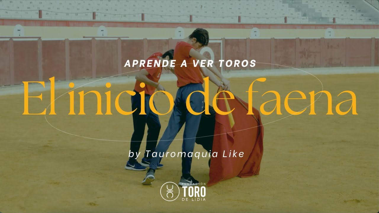 El inicio de faena | APRENDE A VER TOROS by Tauromaquia Like