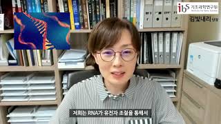 [글로벌 세미나 8회] 김빛내리 교수 사전인터뷰