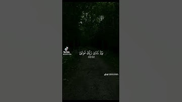 اللهم اجعل القرآن الكريم ربيع قلوبنا ونور صدورنا #اكسبلور