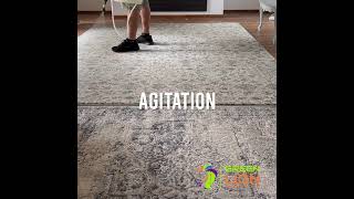 Rugs Cleaning, VLM Clean, Dry in 1 hour