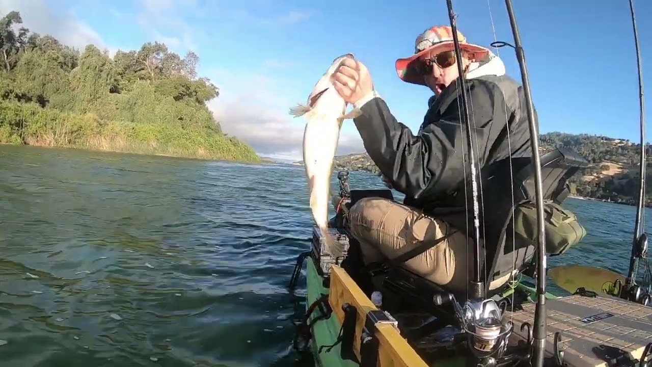 Clear Lake Giant During Tournament!