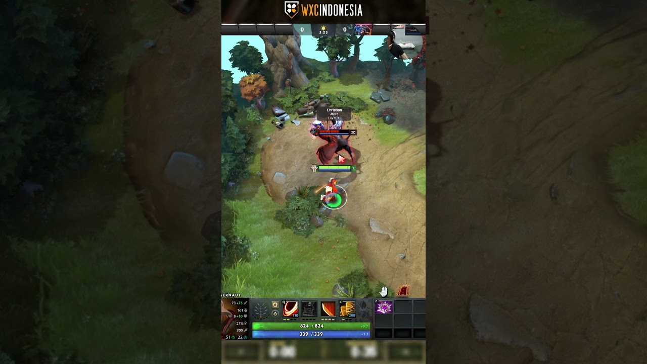 Fungsi nullifier item dota 2