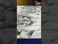 গভীর নিম্নচাপে উত্তাল কুয়াকাটা সমুদ্র সৈকত, সতর্কতা মানছেন না পর্যটকরা | Kuakata | ATN Bangla News