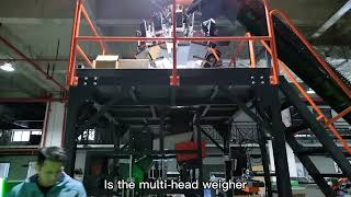 Double lane long nails box packing system --Focus Machinery