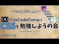 【study with me】 初心者がfreeCodeCampでプログラミングを学ぶ会 #101「CSS / Styling Forms」Part 4