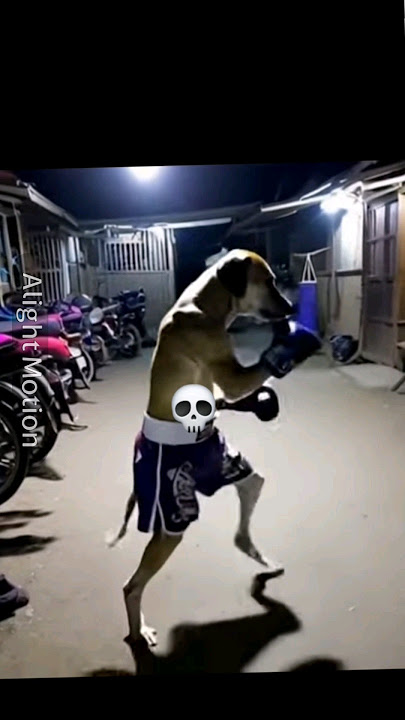 Best Dogs 💀👍 #shorts #phonk