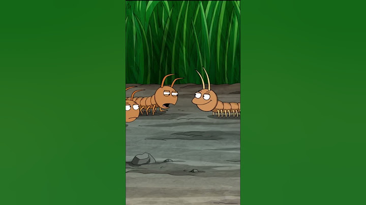 centipede vs millipede #impostor #asmr