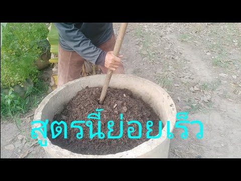 ปุ๋ยหมักจากใบไม้ต้องใช้จุลินทรีย์ประเภทใด..จึงจะย่อยสลายได้เร็ว